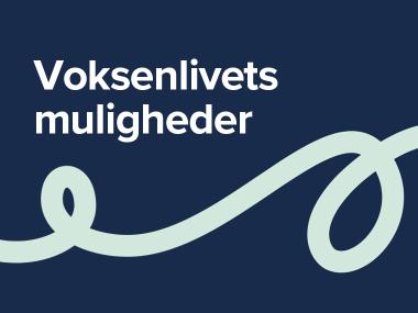 Voksenlivets muligeheder